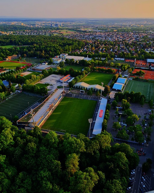 天赋但角色 天赋但角色