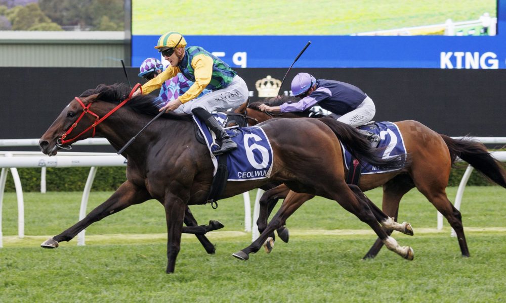 英超第25輪水晶宮vs利物浦前瞻：利物浦衝前四關鍵一戰！薩拉赫努涅斯有望延續狀態！.